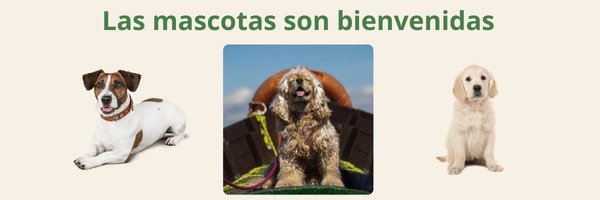 Las mascotas son bienvenidas